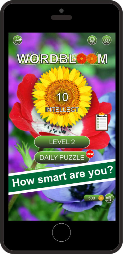 About Image